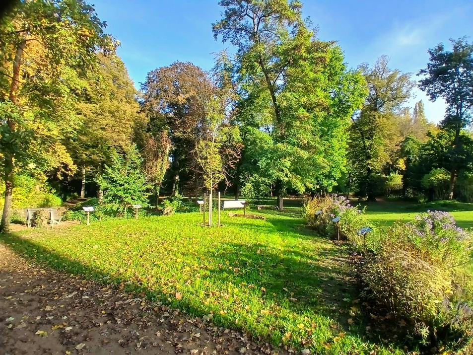 Neuanlage_Erich-Loest-Hain_2 (Förderverein Rötha - Gestern. Heute. Morgen. e. V.)