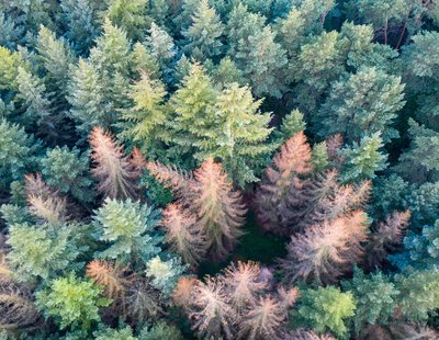 AdobeStock_364797843