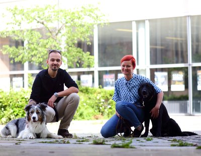 C3_Buerohunde_DanielaSchleich (11)