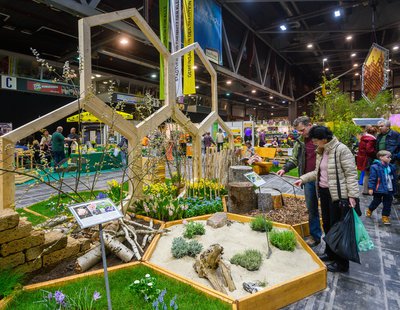 Chemnitzer_Fruehling_2019_4_Kristin_Schmidt