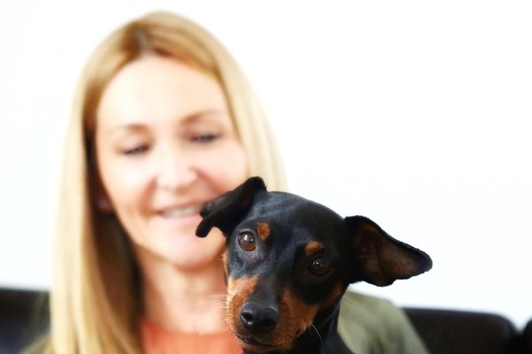 KatrinKastell_Buerohund_DanielaSchleich (4)