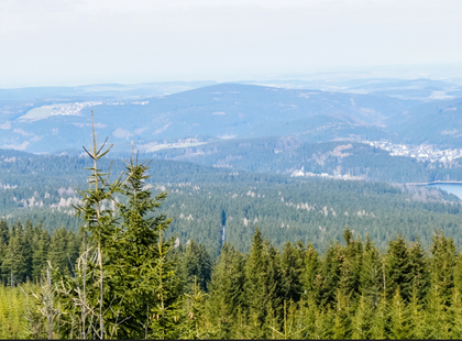 AdobeStock_107374030