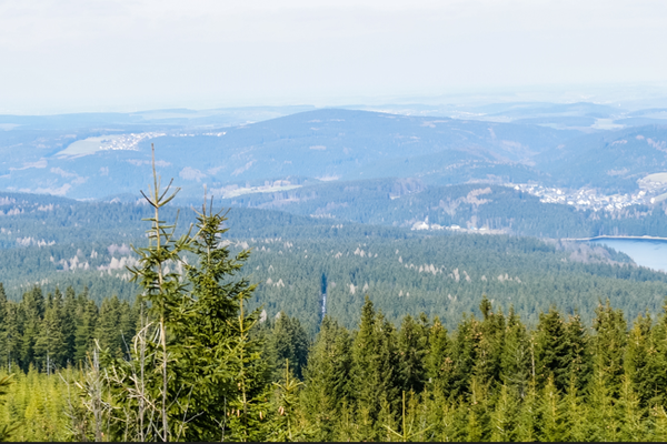 AdobeStock_107374030