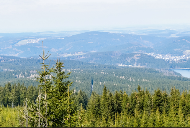 AdobeStock_107374030