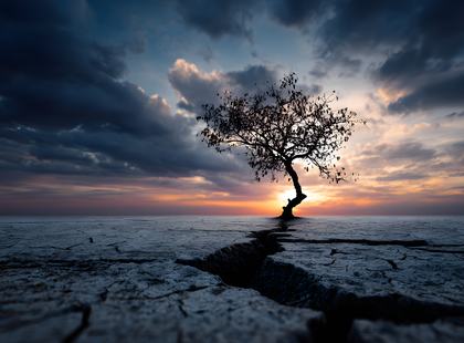 AdobeStock_1808691408