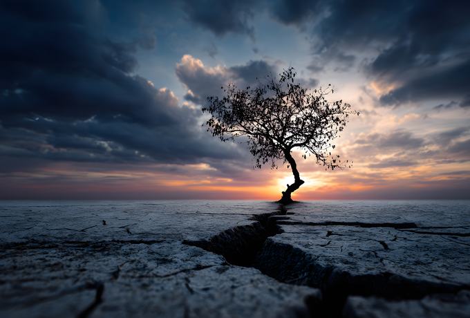 AdobeStock_1808691408