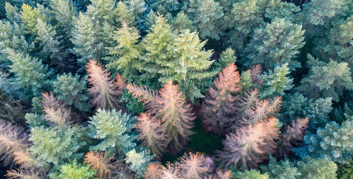 AdobeStock_364797843