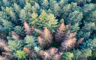 AdobeStock_364797843