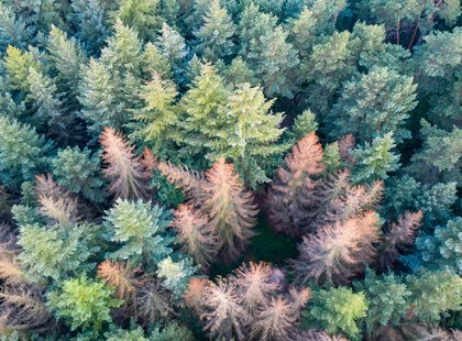 AdobeStock_364797843