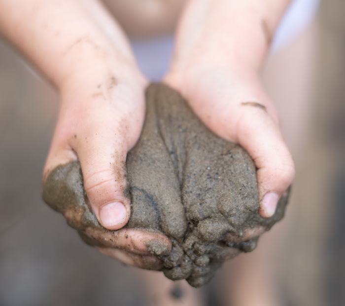 AdobeStock_477850245