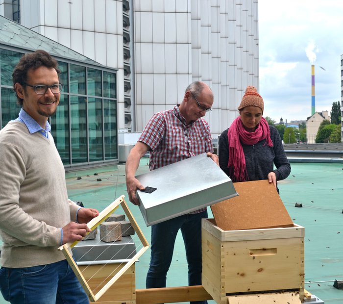 Bienen-Stadthalle-Carlowitz(c)Nathalie Beyreuther.JPG