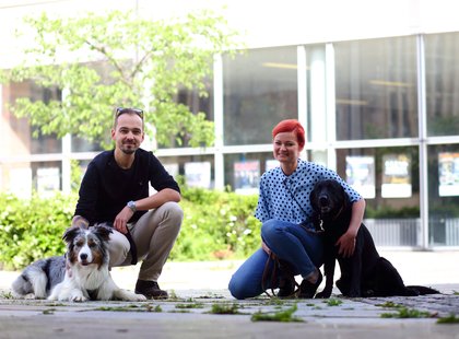 C3_Buerohunde_DanielaSchleich (11)