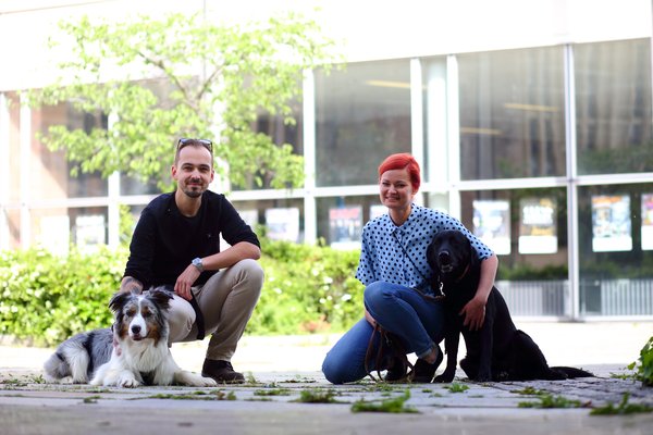 C3_Buerohunde_DanielaSchleich (11)