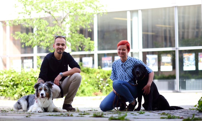 C3_Buerohunde_DanielaSchleich (11)