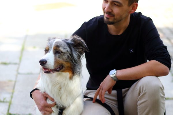 C3_Buerohunde_DanielaSchleich (12)