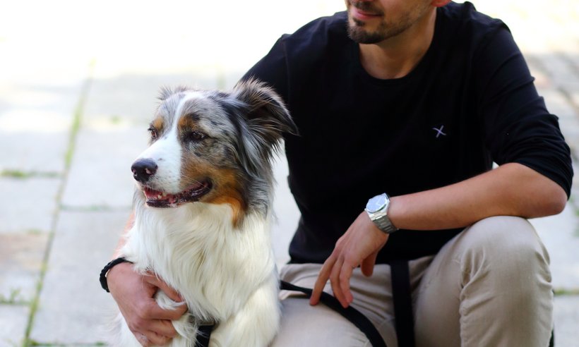 C3_Buerohunde_DanielaSchleich (12)