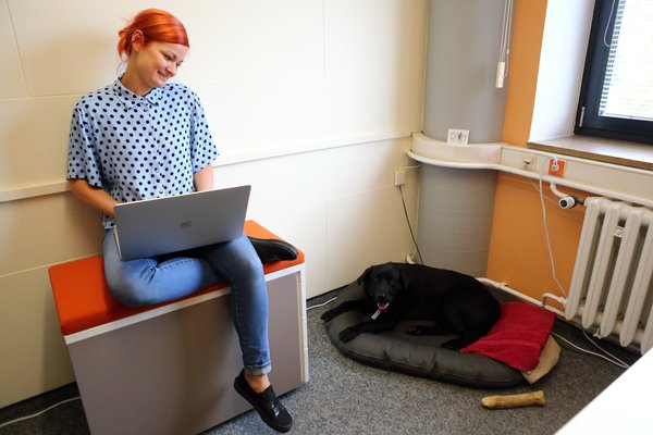 C3_Buerohunde_DanielaSchleich (4)