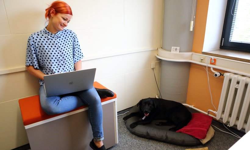 C3_Buerohunde_DanielaSchleich (4)