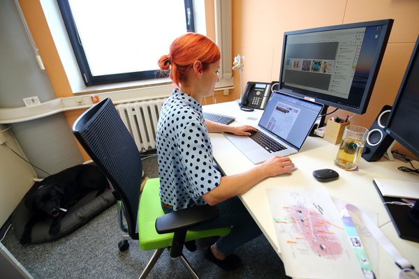 C3_Buerohunde_DanielaSchleich (6)