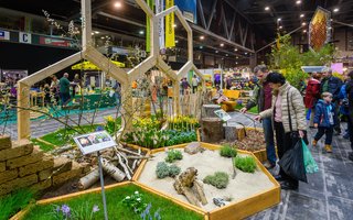 Chemnitzer_Fruehling_2019_4_Kristin_Schmidt