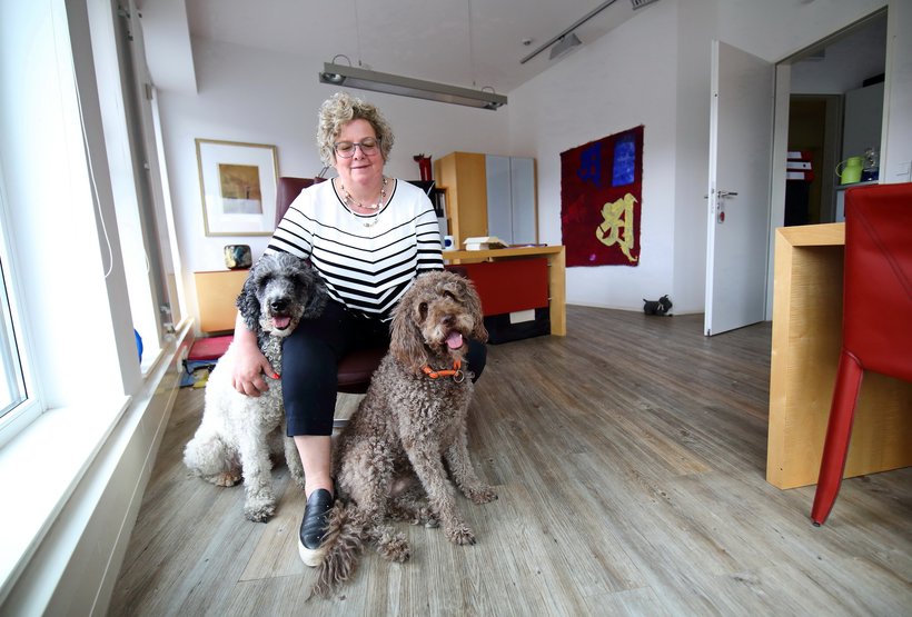 Neuerburg_Buerohund_DanielaSchleich (1)