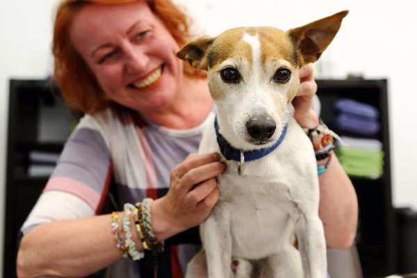 Pixies_Buerohund_DanielaSchleich (3)