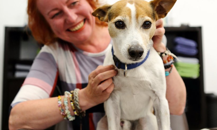 Pixies_Buerohund_DanielaSchleich (3)