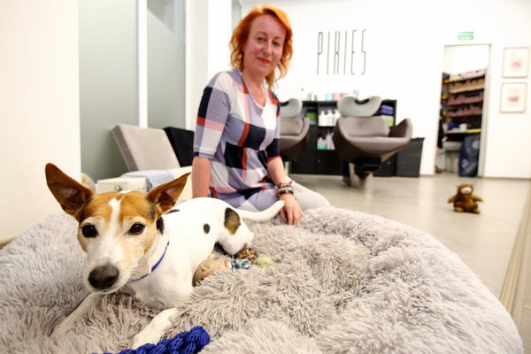 Pixies_Buerohund_DanielaSchleich (9)