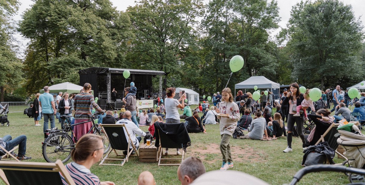 Pus(c)hen von Daniel Franz