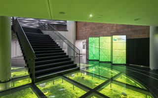 SSP6415(c)Steffen-Spitzner (36)_kl.jpg