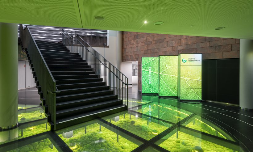 SSP6415(c)Steffen-Spitzner (36)_kl.jpg