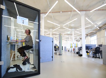 Staffbase_Buerohund_DanielaSchleich (2)