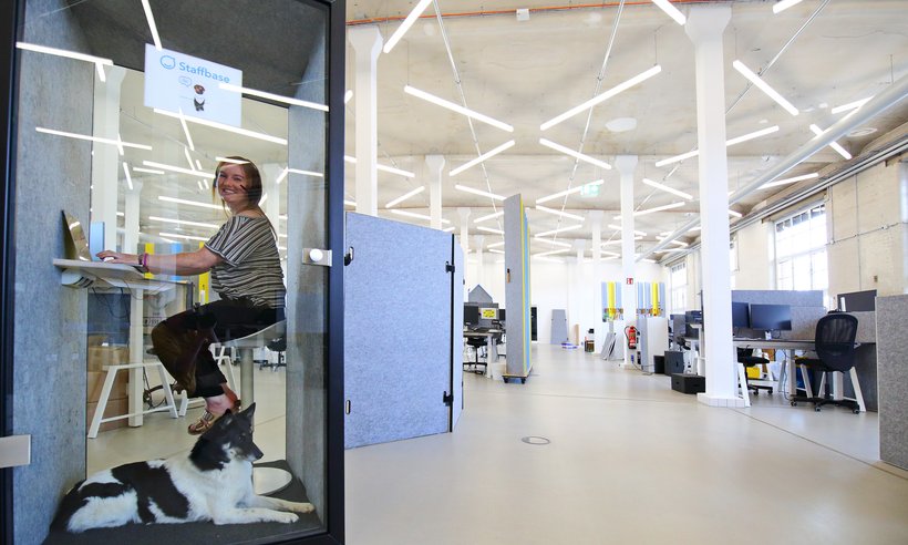 Staffbase_Buerohund_DanielaSchleich (2)