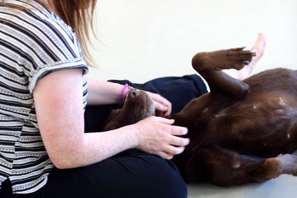 Staffbase_Buerohund_DanielaSchleich (5)