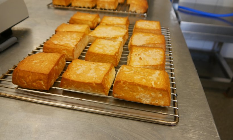 Tofu_Jeschke (5).JPG