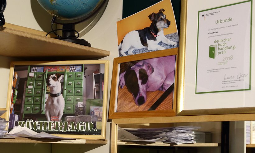 Web_Buerohunde_Universitas (7)