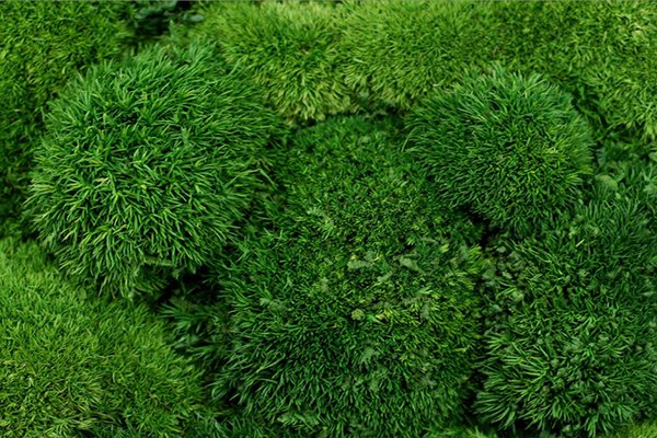 SSP6415(c)Steffen-Spitzner (36).jpg