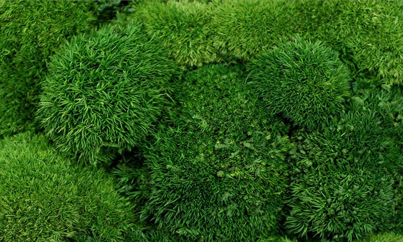 SSP6415(c)Steffen-Spitzner (36).jpg