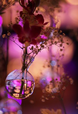 Ball003