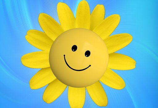 1463561529_sun-720227-960-720.jpg
