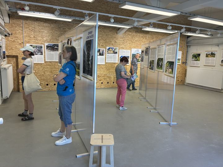 Hang zur Kultur am 23. Mai 2026 - Ausstellung "Interventionsflächen" im Schauraum