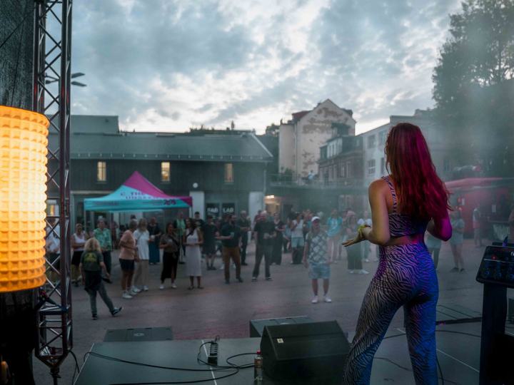 Impressionen vom Hoffest "Vom Wimmeln und Wuseln" 2025