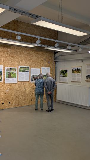 Blick in die Ausstellung Interventionsflächen für Chemntz 2025 im Schauraum