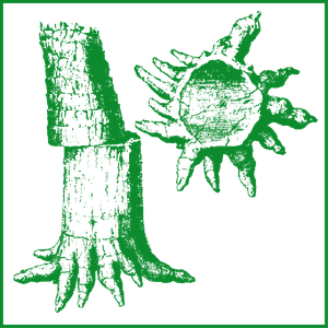museum_logo