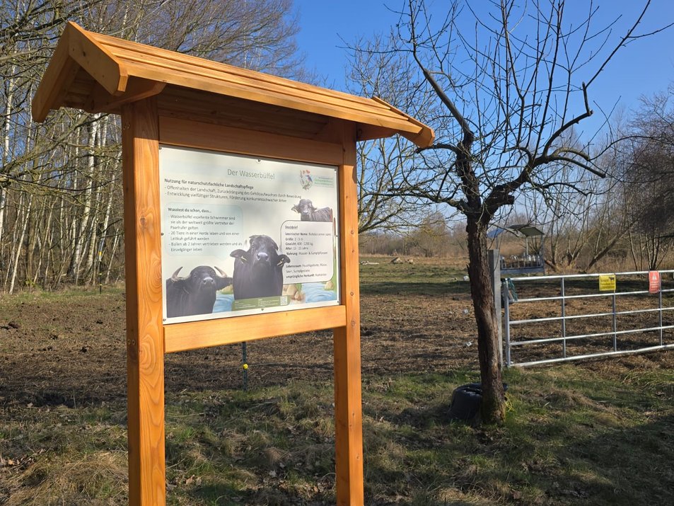 Schautafeln_Lerchenberg_1 (NFG Ökologische Station Borna-Birkenhain e. V.)