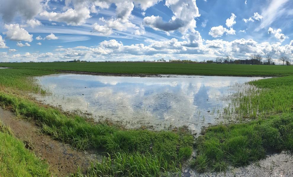 Überwässerte landwirtschaftliche Nutzfläche
